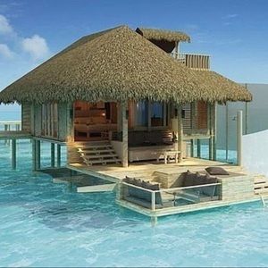 Meet your Posher, Nikki